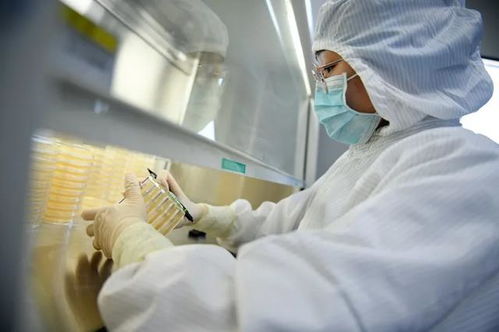 日常防護型口罩技術(shù)要求及檢驗方法——保障呼吸健康的專業(yè)指南
